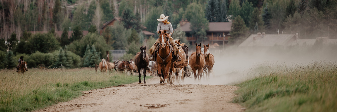 cody alan bell add double d dude ranch free online photo