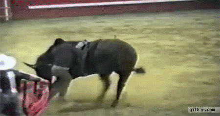 craig sickler recommends Bull Riding Gif Funny