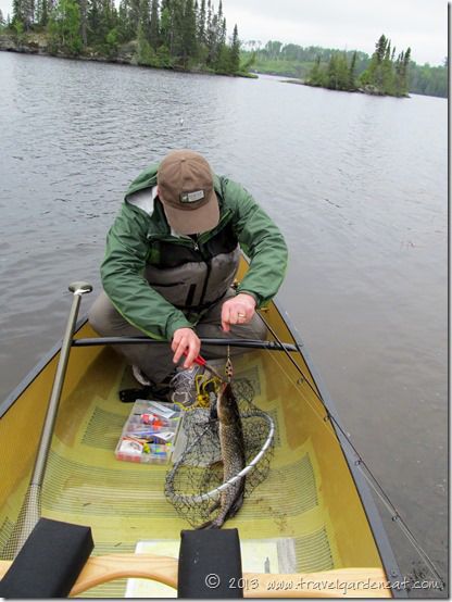 abdulaziz alzahrani recommends Long Island Lake Bwca