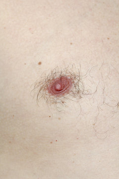 david m carroll recommends hairy nipples pics pic