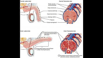 anel hodzic recommends masturbation instructions for men pic