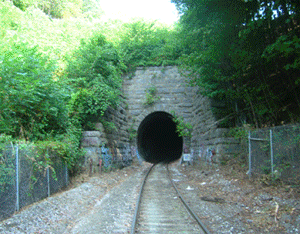Best of Train going through tunnel gif