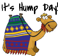 afif hazim recommends Good Morning Happy Hump Day Gif