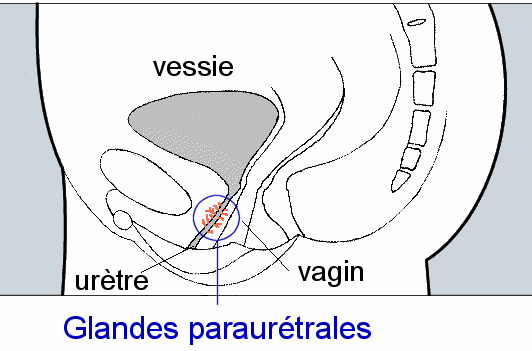 arnel fulgencio add ejaculation dans le vagin photo