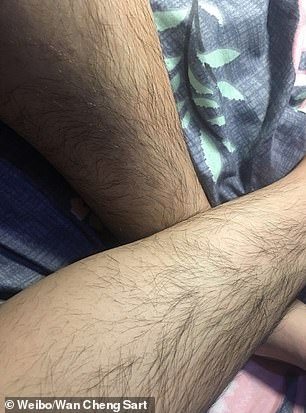 alain lategan recommends hairy asian bush pic