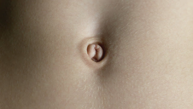 dennis bieber recommends close up belly button pic