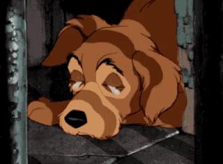 chad grunow recommends Sad Puppy Gif