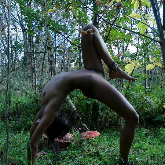 dee dee adams add fuck for forest porn photo