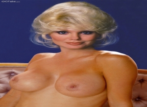 christine arlington recommends Loni Anderson Nude Pictures