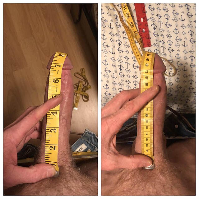 15 Inch Penis personali cosenza