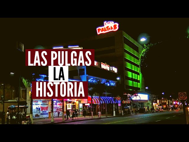 alan hulston recommends las pulgas nightclub tijuana pic