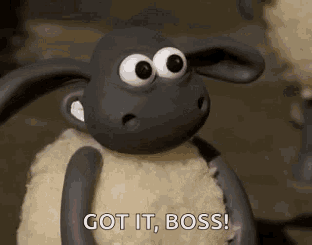 Best of You got it boss gif