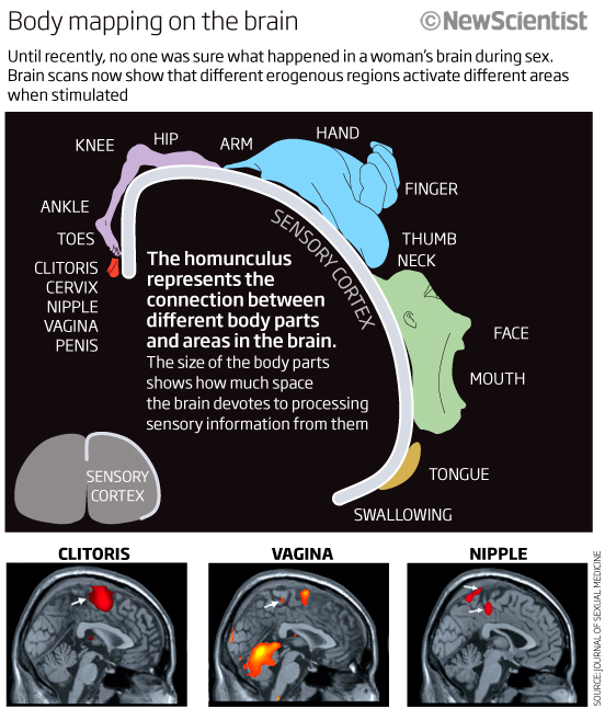 darren speck recommends how to fuck a womans brains out pic