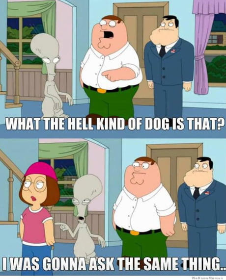 Best of Family guy and american dad crossover
