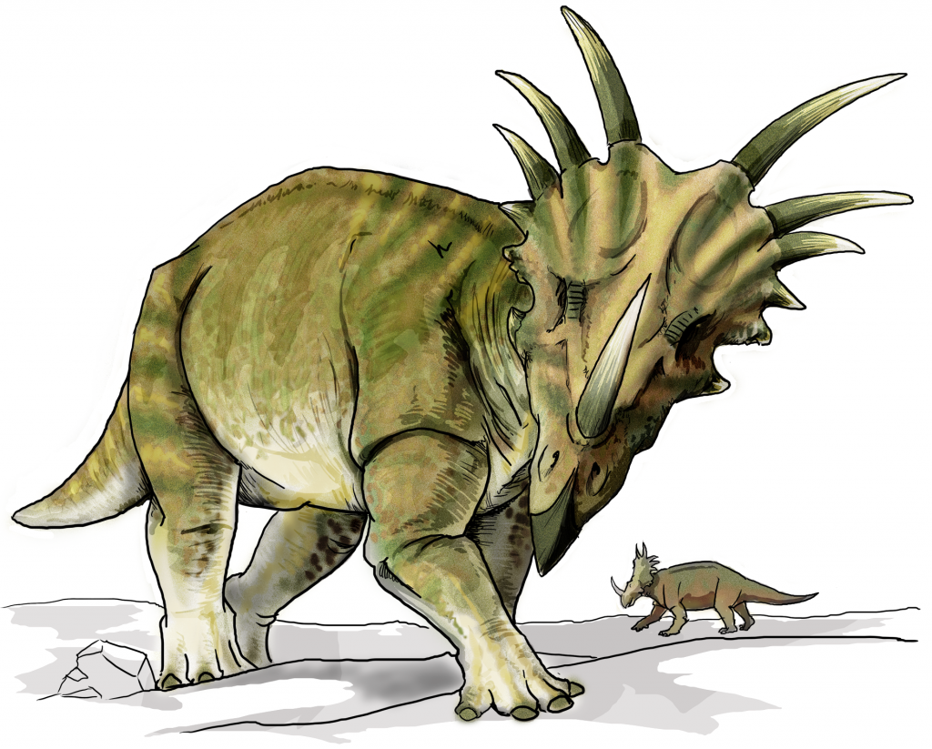 carlos quevedo recommends Sex Move Called Triceratops