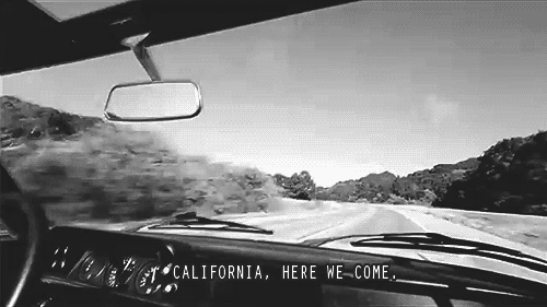 desiree naidu recommends going back to cali gif pic