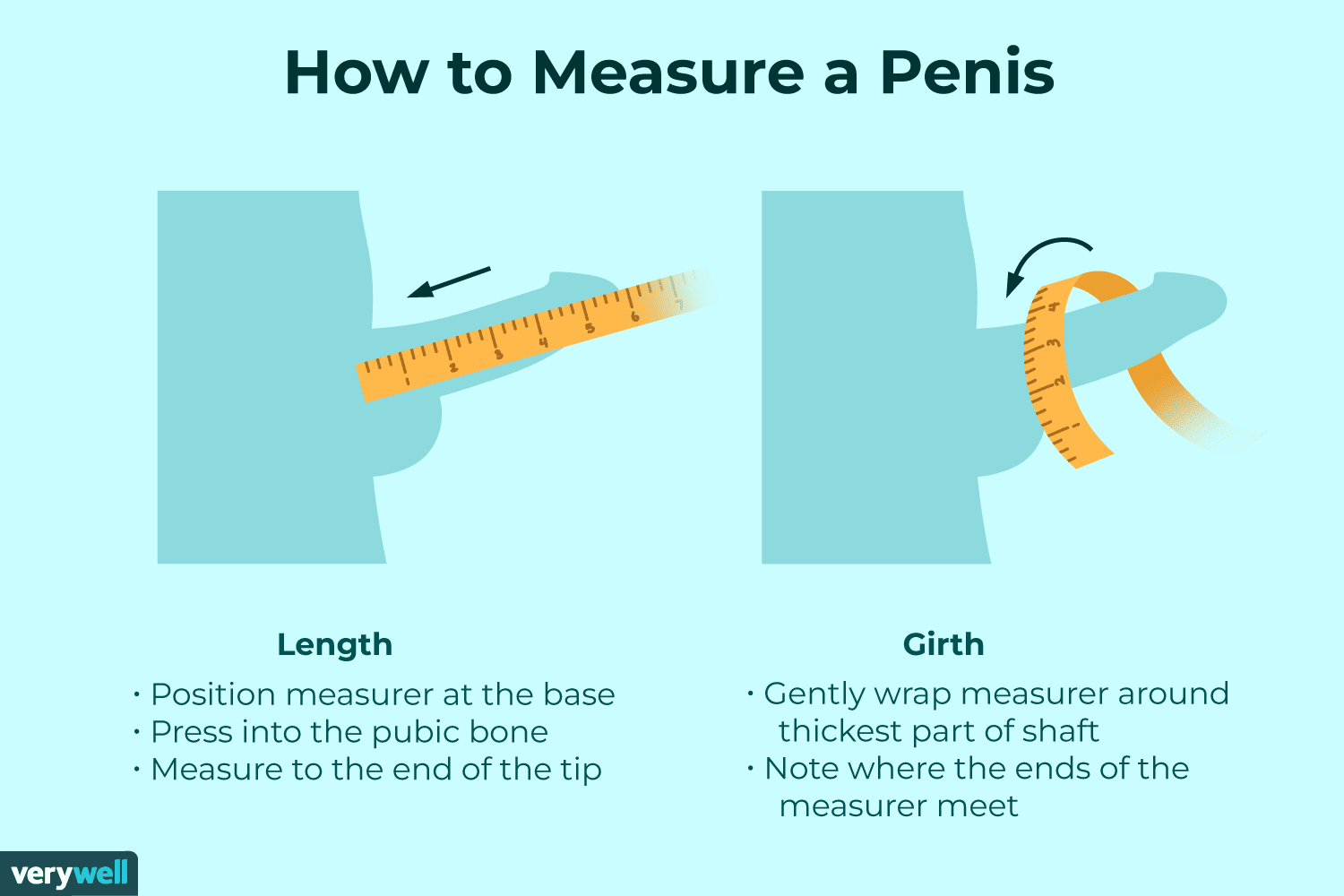 dinesh bagwe recommends Pics Of Penis Sizes