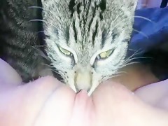 brigitte diasivi recommends cat licks girls pussy pic