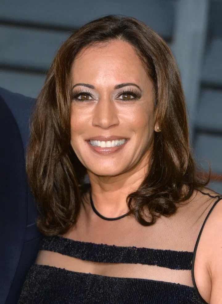 andy isbell add photo kamala harris upskirt