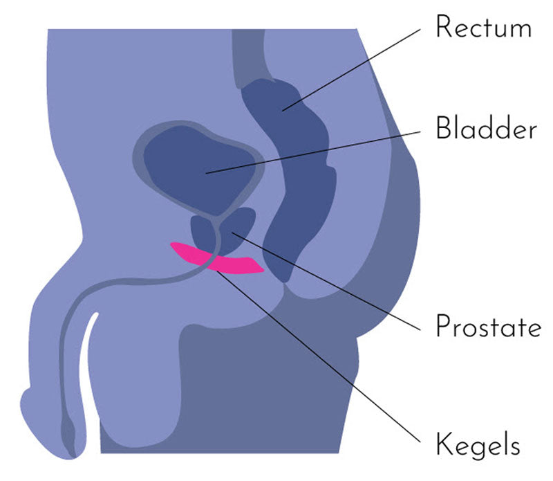 antonia schumann recommends 4 dicks 1 hole pic