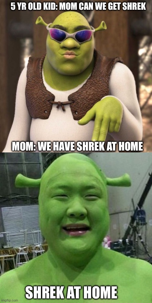 ashley comp recommends shrek is life meme pic