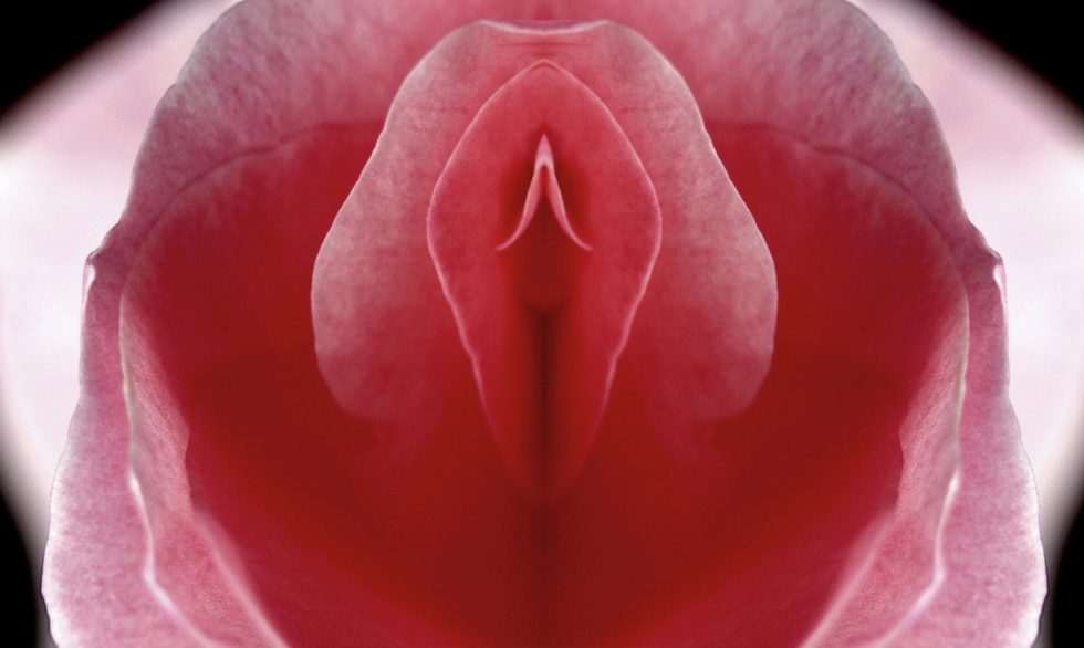 alexander duenas recommends Vulva Close Up