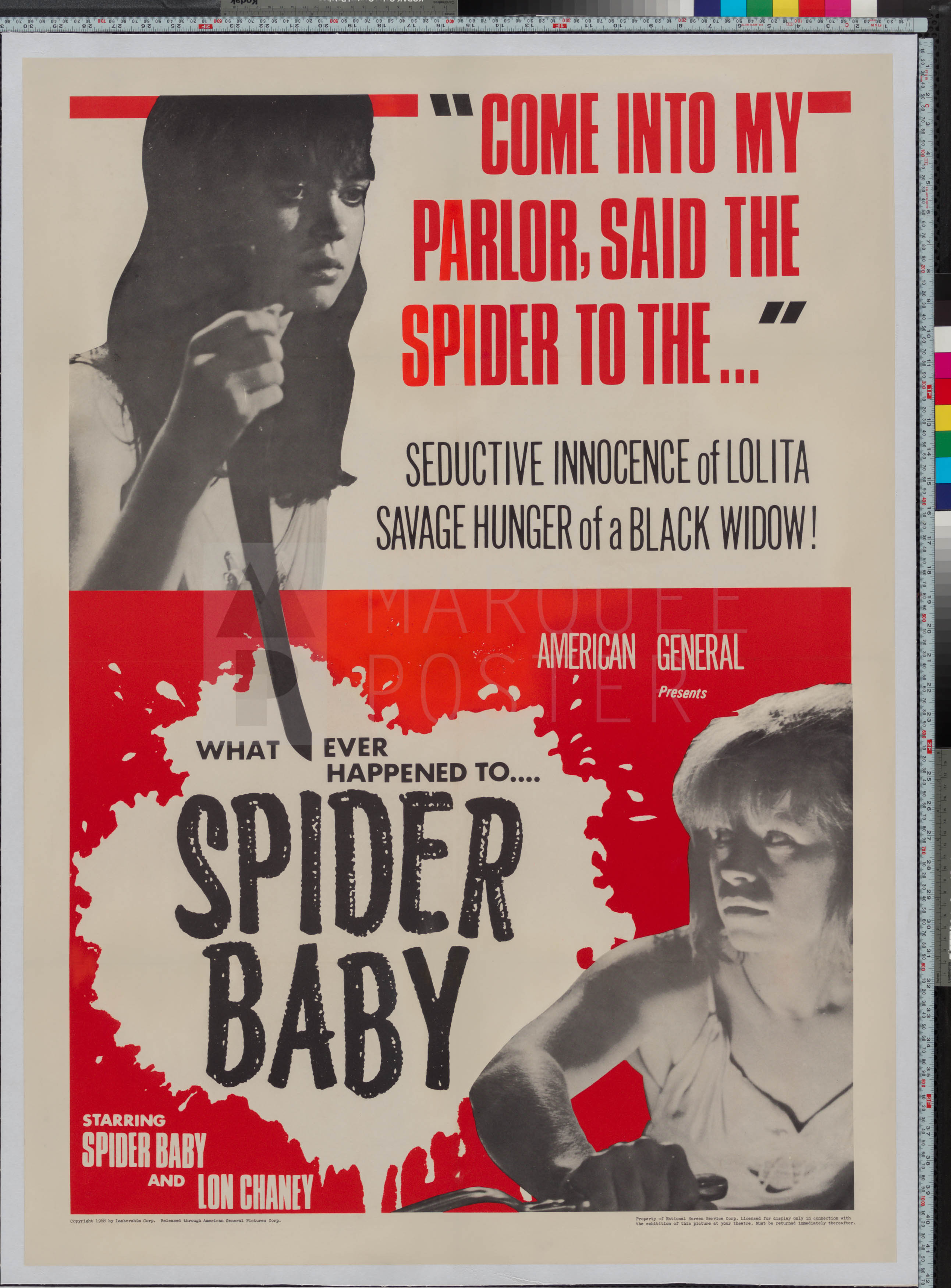 spider babe full movie
