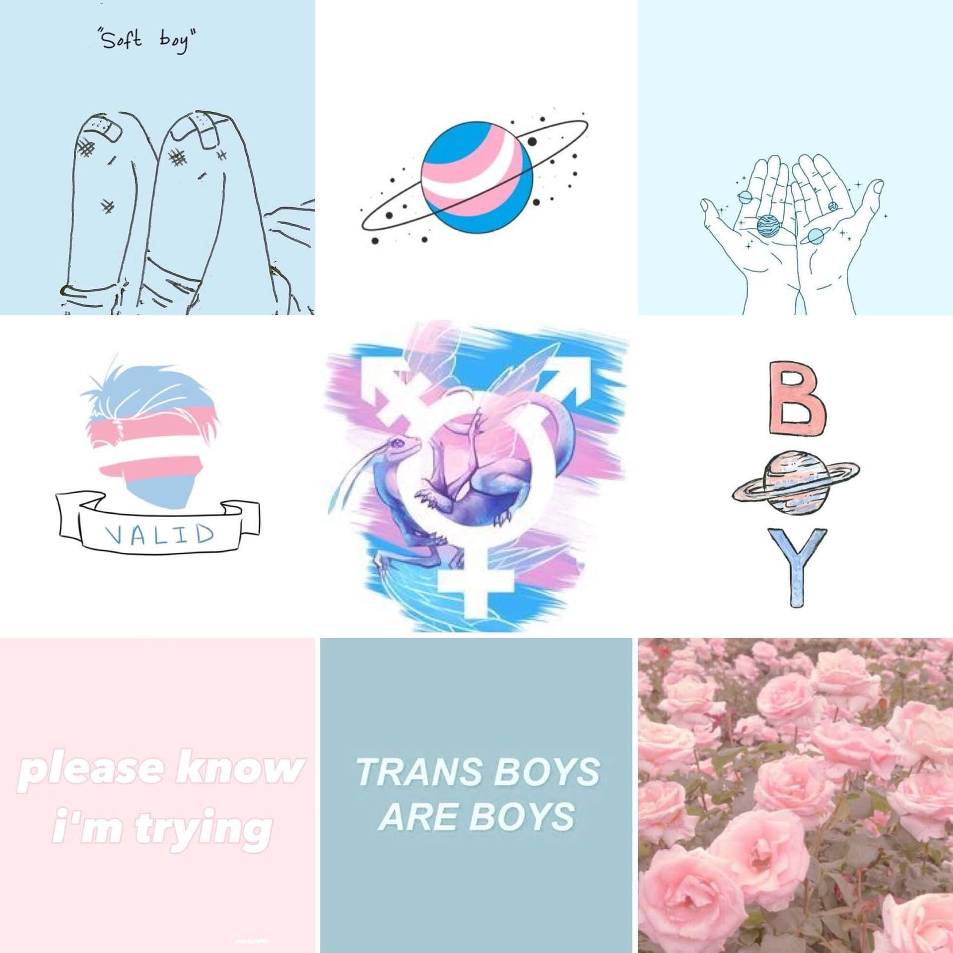 celeste nambo recommends Real Transexual Tumblr