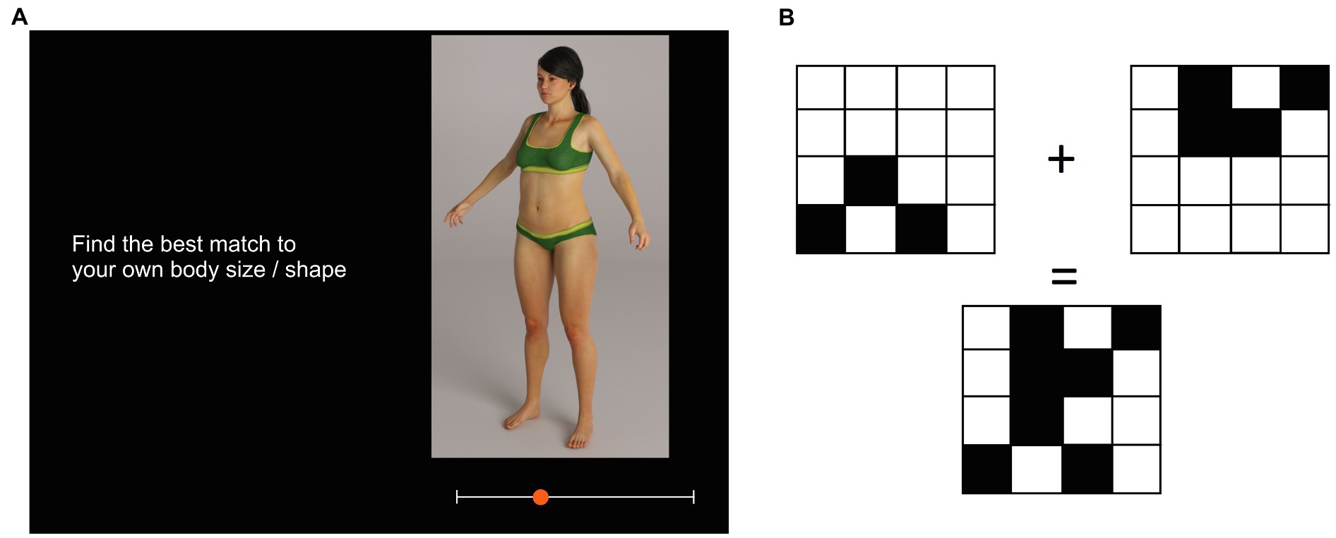 sophie howard measurements