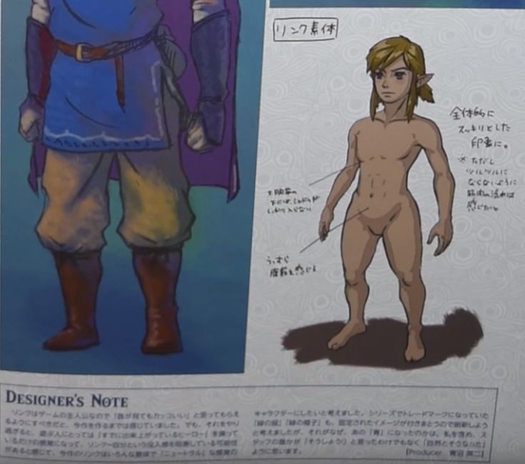 dana grigg recommends breath of the wild link nude pic