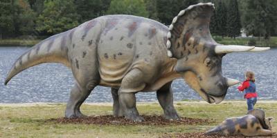 sex move called triceratops