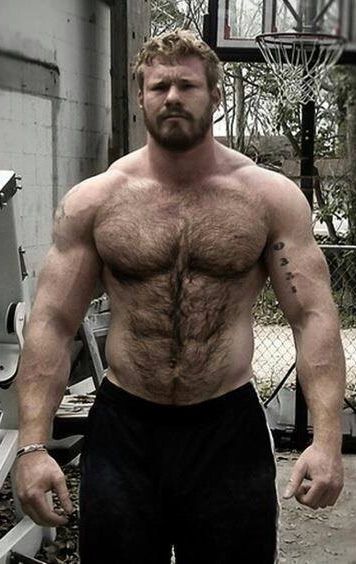 Hairy Muscle Dad porn newest