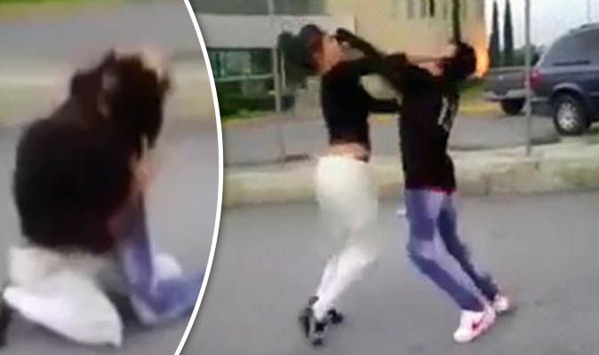 daniela gates share female street fights youtube photos