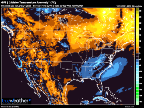 debbie silcox share 240 gfs model photos