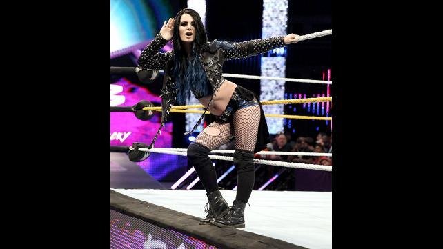 aaron de boer recommends wwe diva paige pics pic