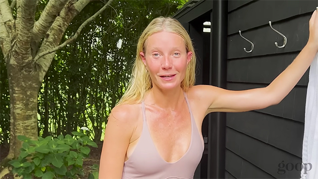 ajitesh banerjee recommends gwyneth paltrow tits pic