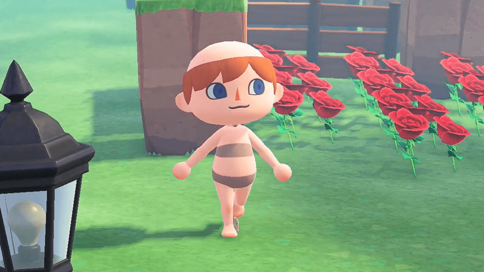 darrin roche share animal crossing nude photos