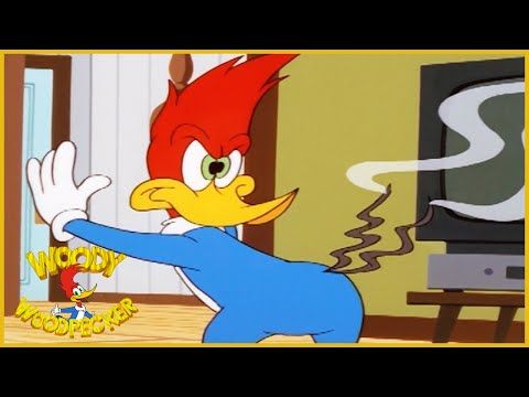 basil allschwang share woody woodpecker cartoon videos photos