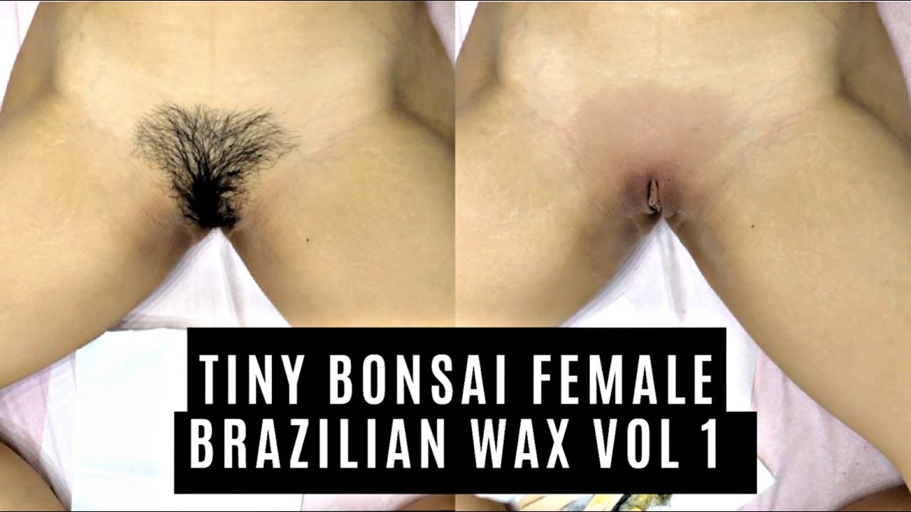 alia faisal recommends Hairy Pussy Waxing