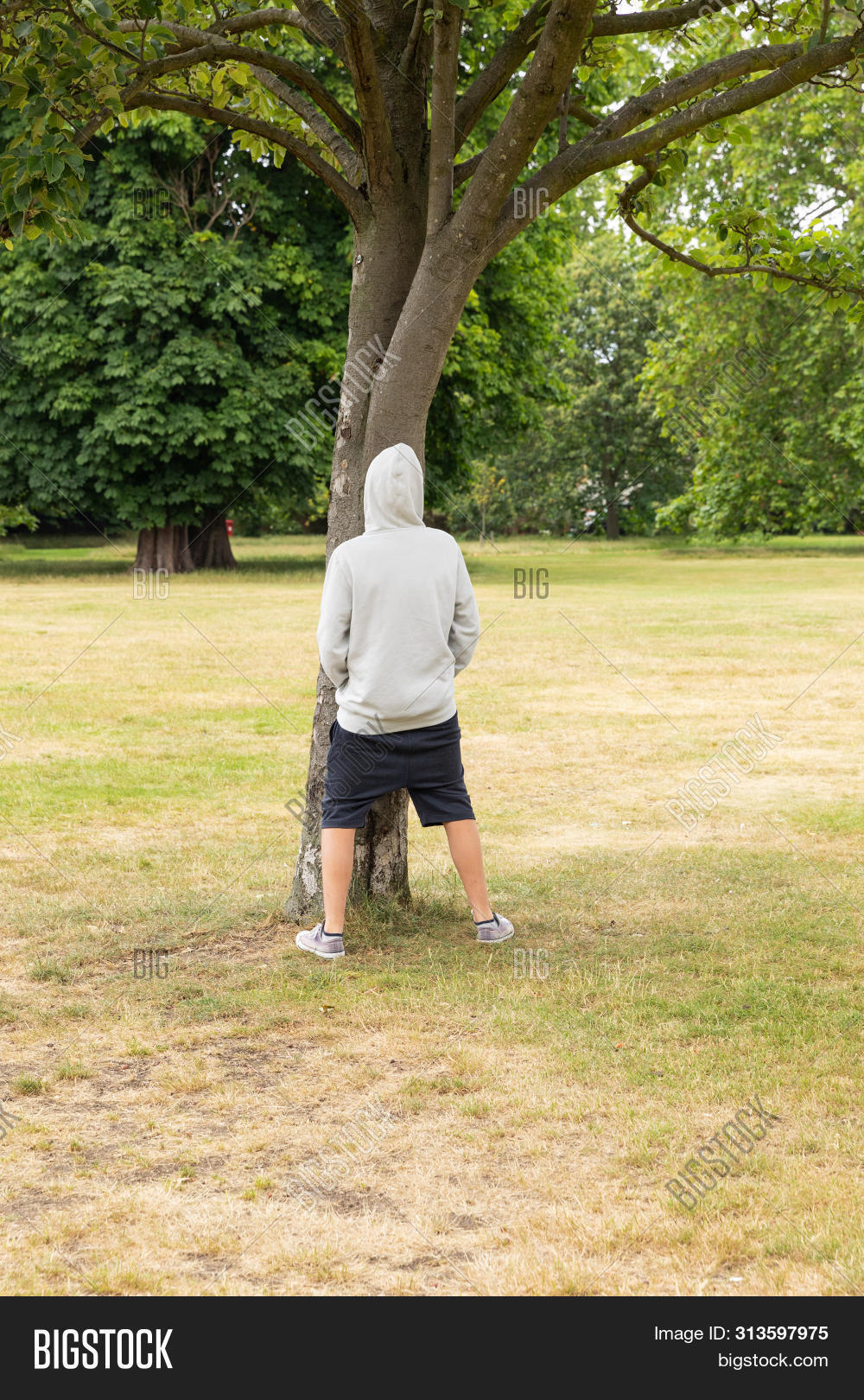 danielle pearse recommends Boy Peeing On A Tree