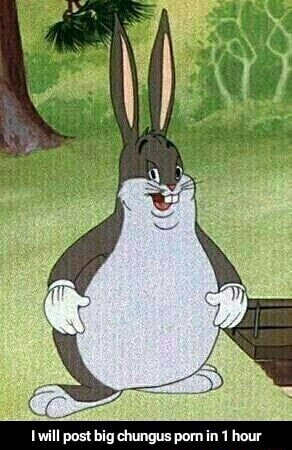 amel gamal add big chungus porn photo