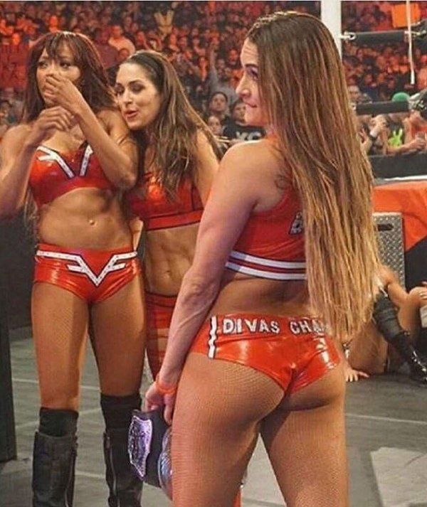 damilola fasina recommends nikki bella hot ass pic