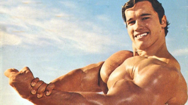 Arnold Schwarzenegger Porn Star whores porn