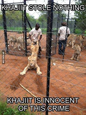 Khajiit Is Innocent rio com