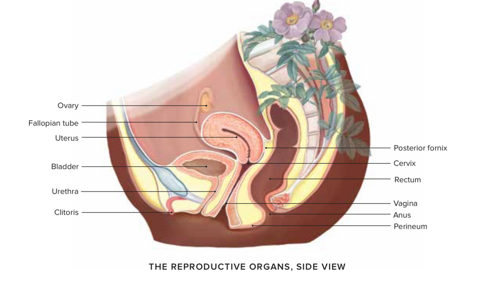 andrea garza martinez recommends How To Take A Good Picture Of Your Vag