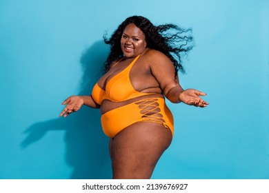 Best of Fat chic in bikini