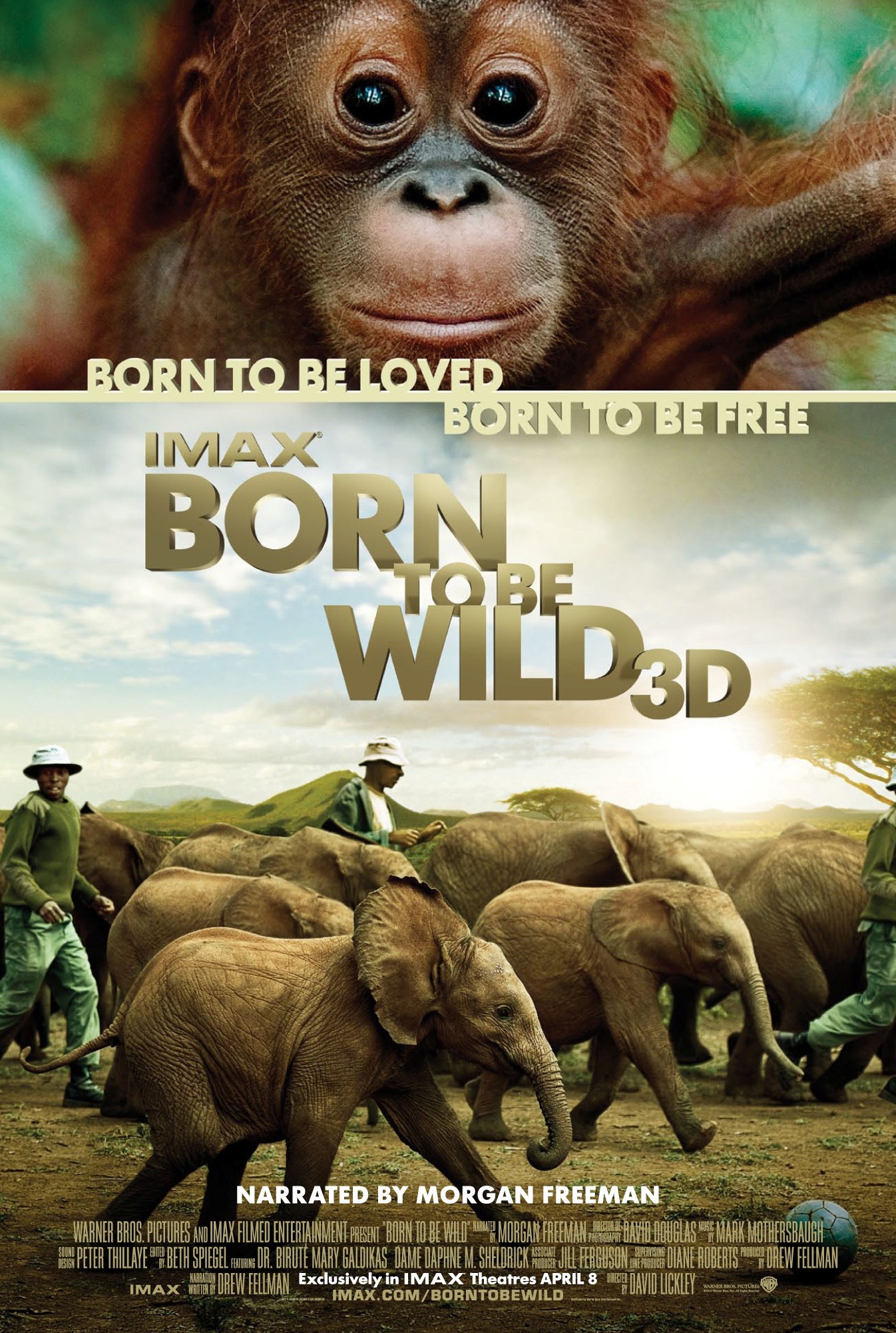 Best of Wild full movie free