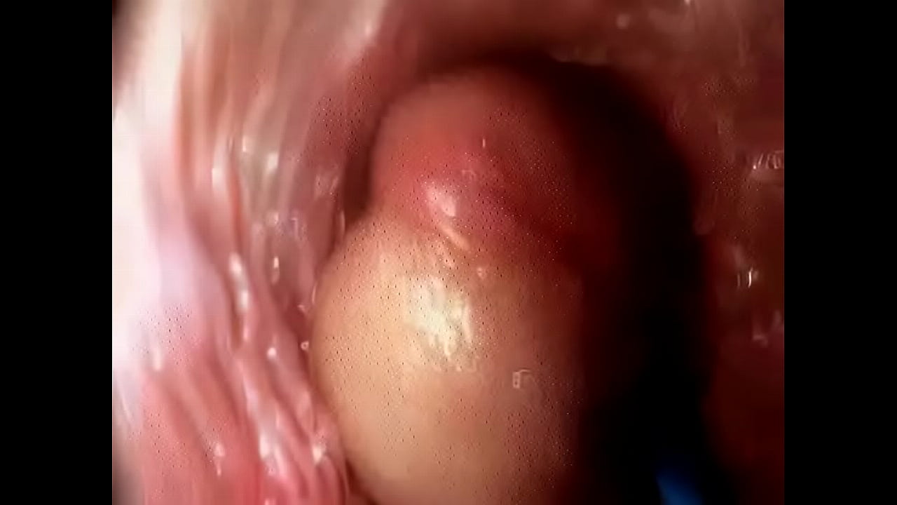 dillon dourado recommends penis inside the vagina pic