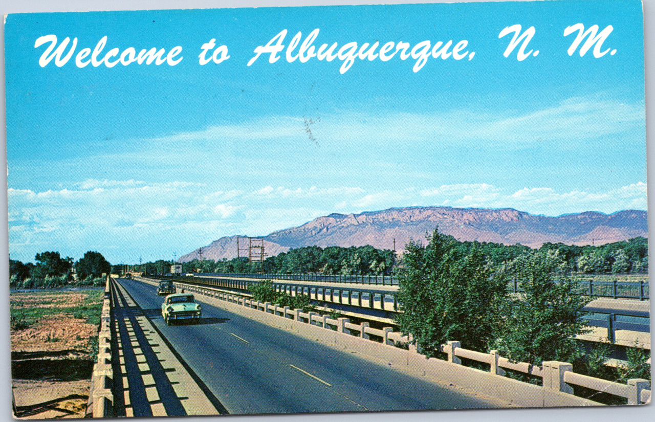 birsen donmez add backpage com albuquerque new mexico photo