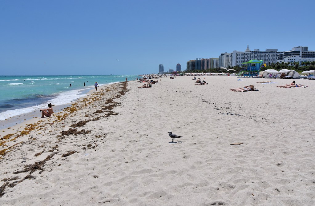 adriel leong recommends backpage south beach miami pic